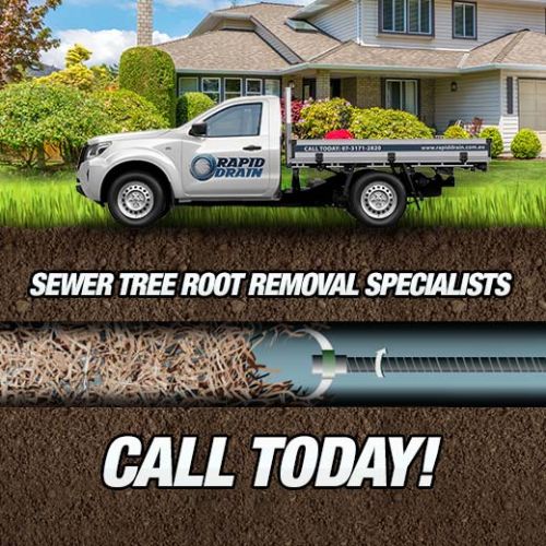 Sewer Tree Root Removal Specialists In Berrinba